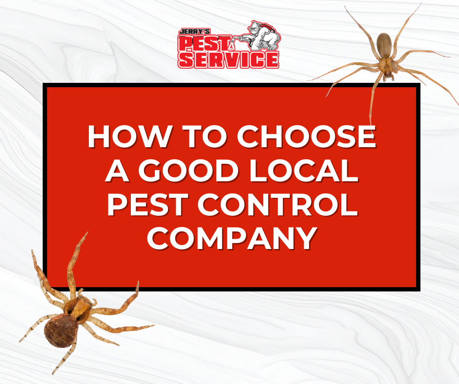 Jerry's Pest Service - 2026-02-10T133017.124