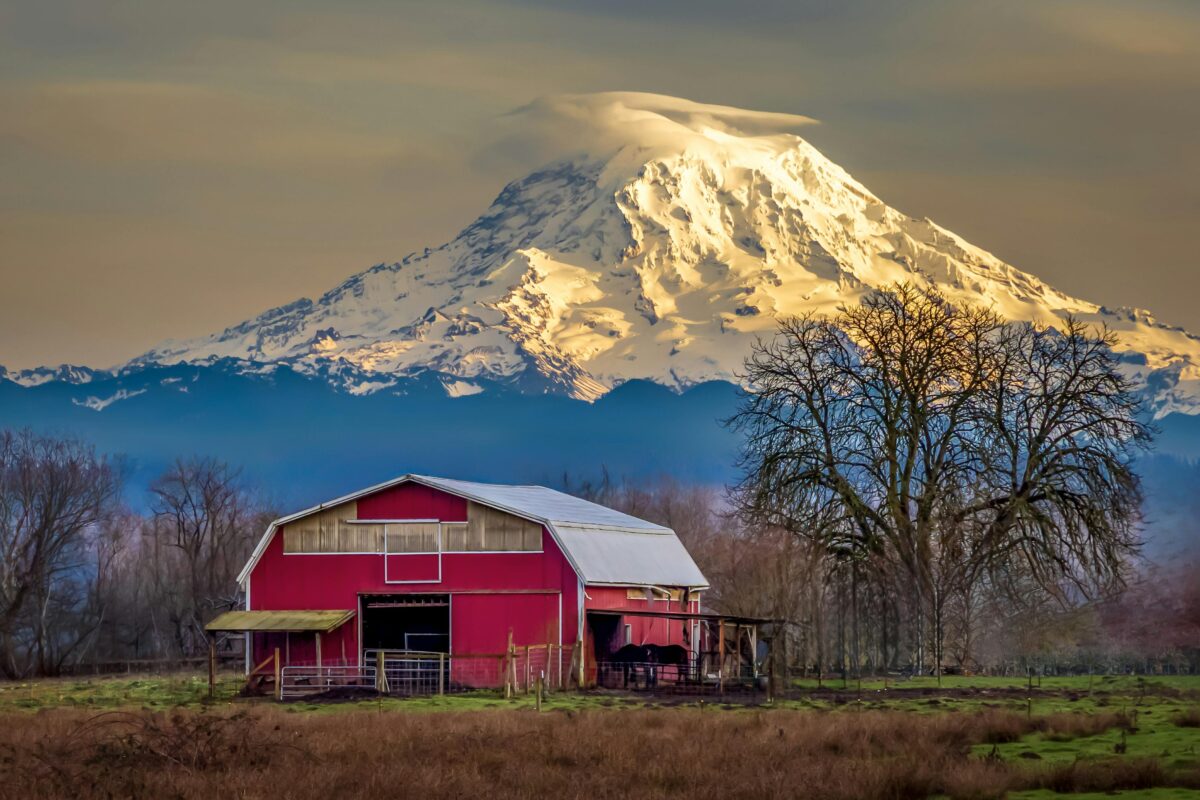 Living Near Yakima's Fields and Orchards? Here's What That Means for Pest Control at Your Home